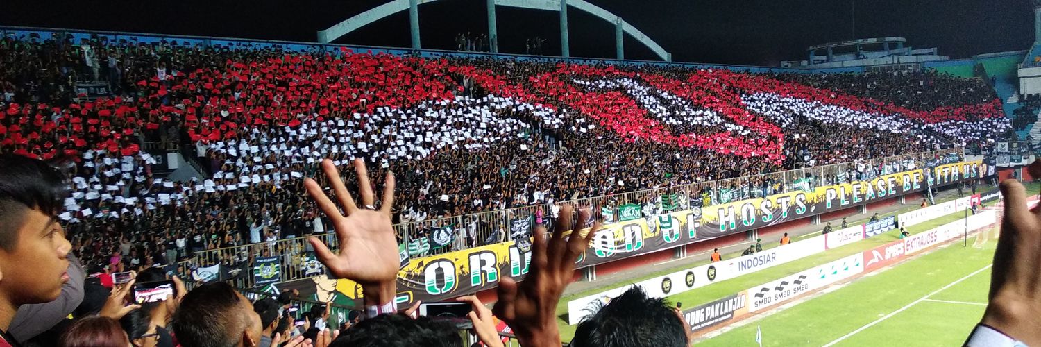 penyu laut banner