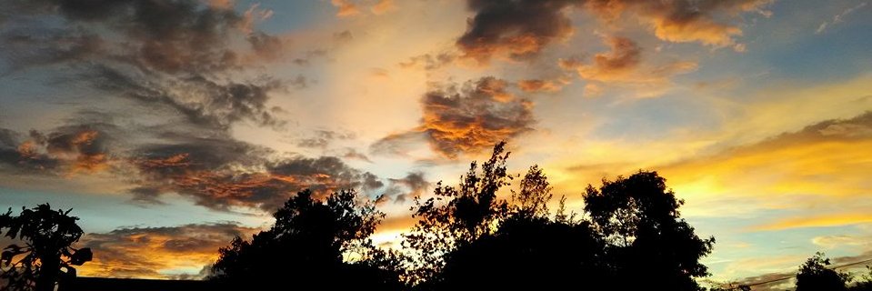zowikrlm's profile banner image