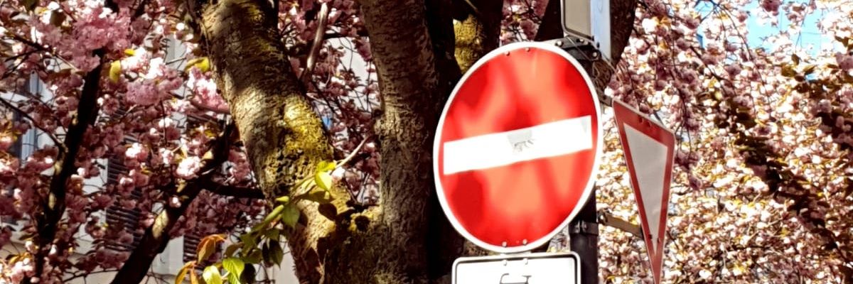 saebaxyz's profile banner image