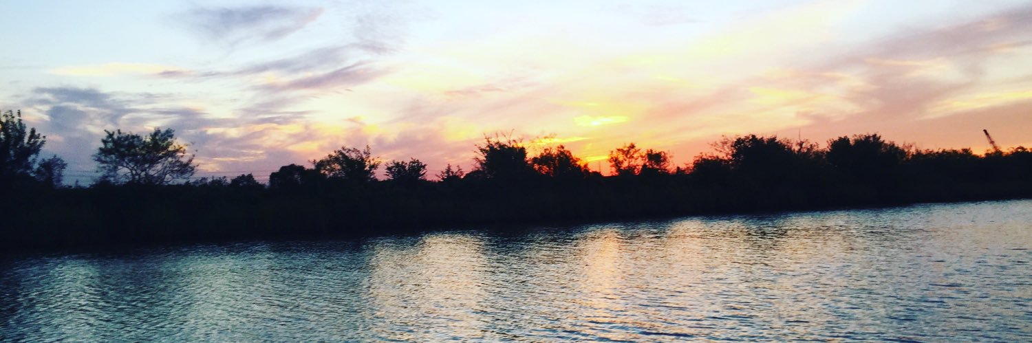 MNicholss's profile banner image