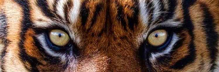 AdrianLH20's profile banner image