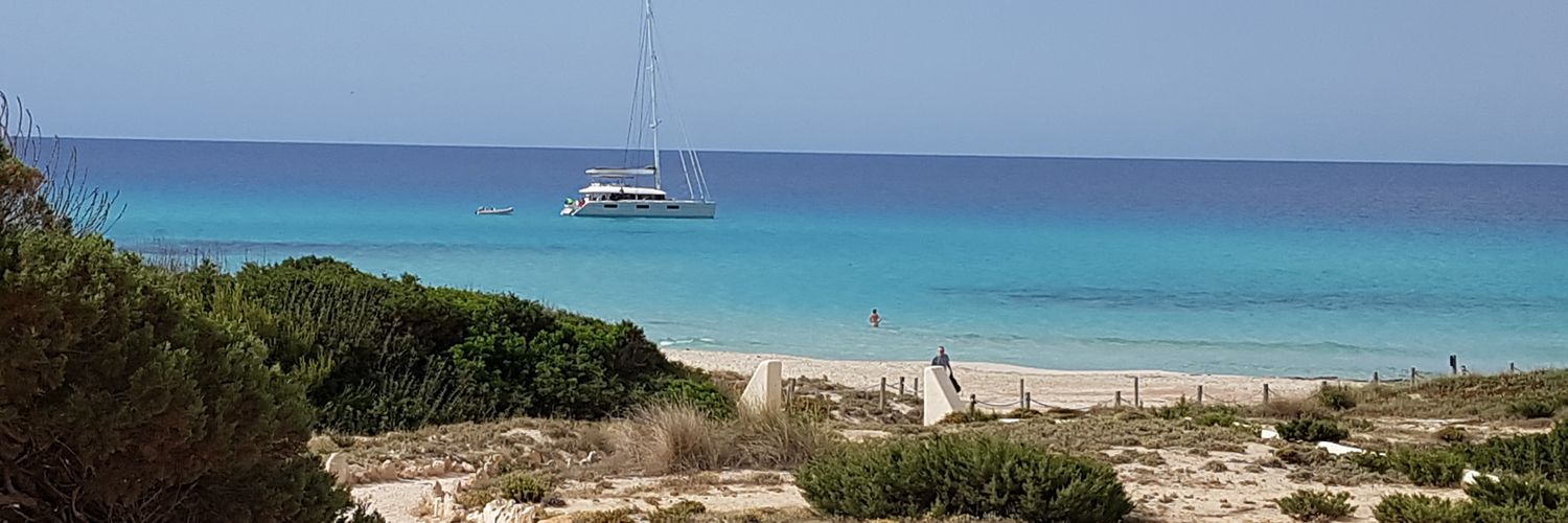 Carme Gregori Soldev banner