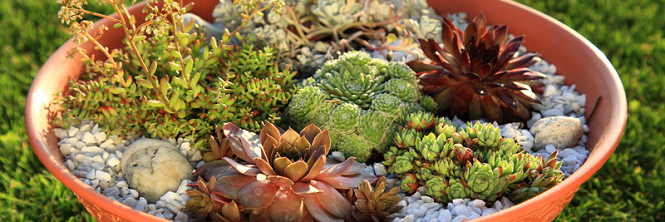 MarcusBerginGardening banner