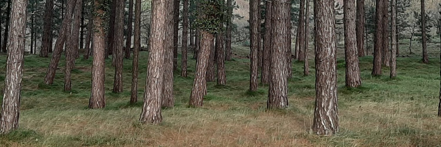 H123Thorsten's profile banner image