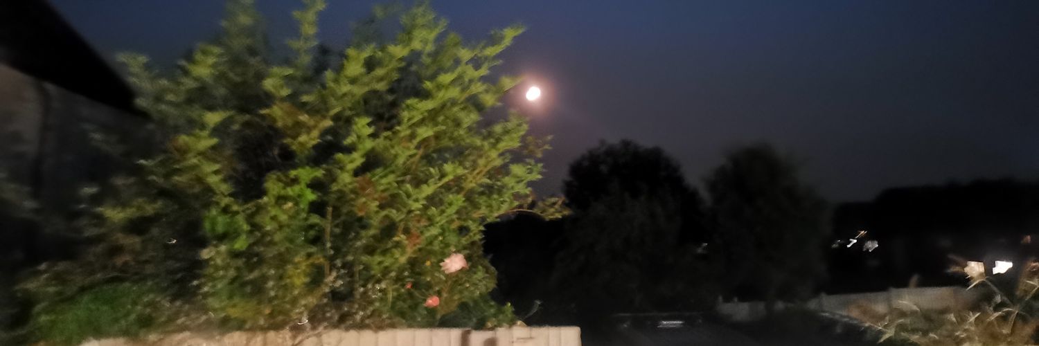 Hope...it's not too late. banner