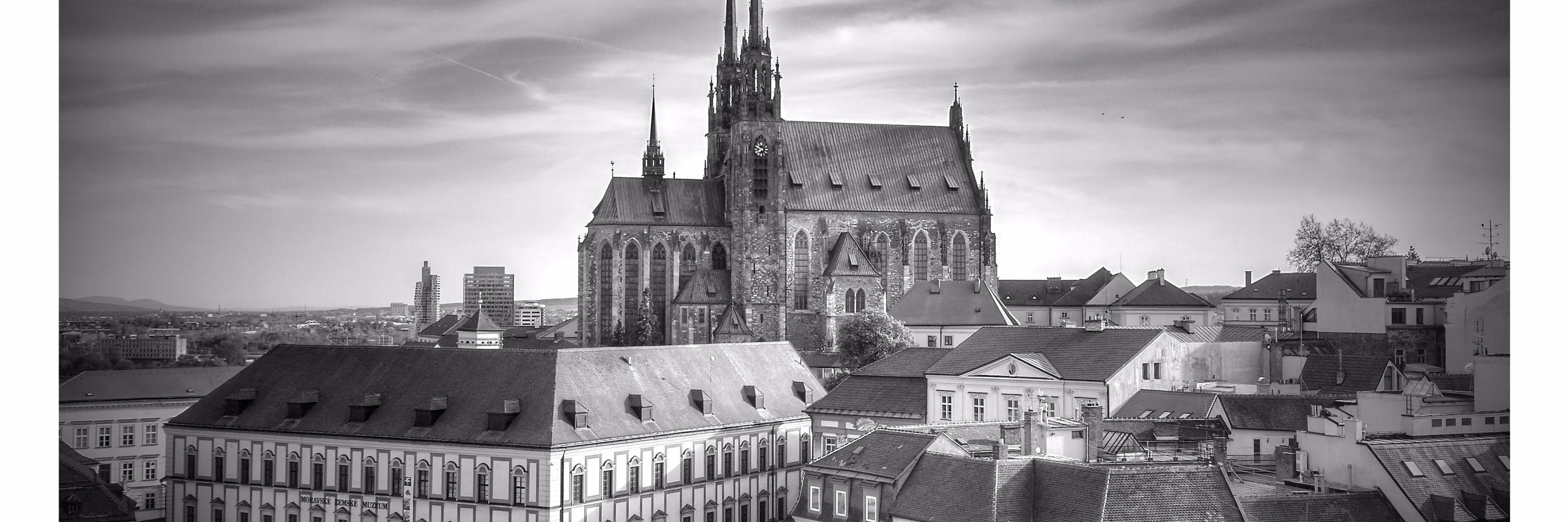 petr_ludvik's profile banner image