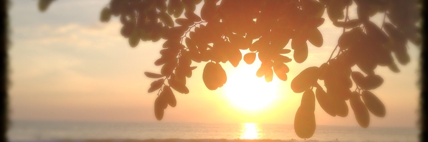 alleng30's profile banner image