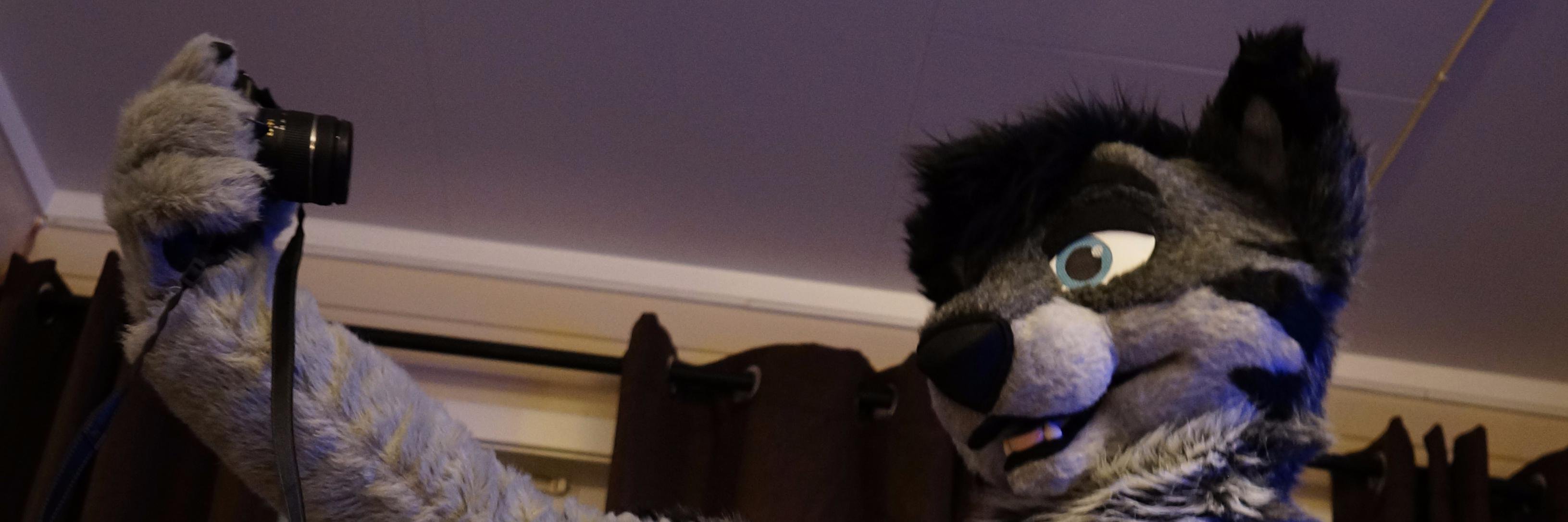 CurlyTSwag's profile banner image
