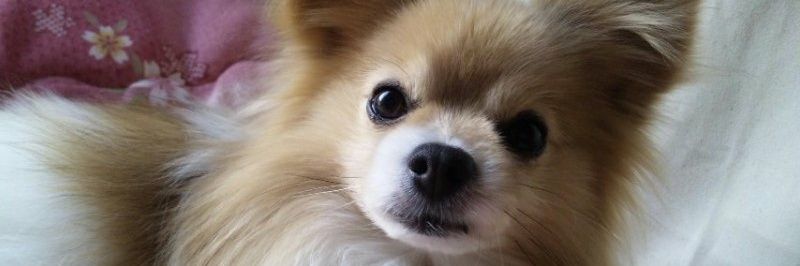 mimi_323_'s profile banner image