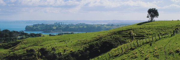 Caroline Williams Profile Banner