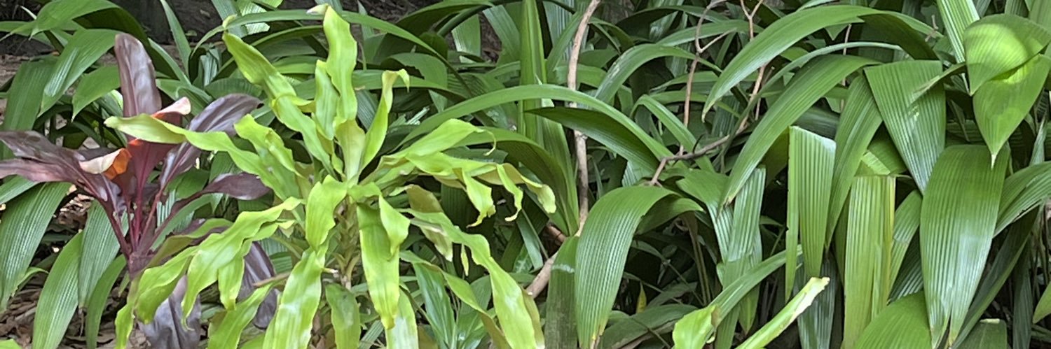 obeezu's profile banner image