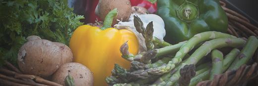 Huerto Urbano banner