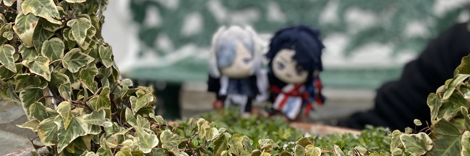 淚🎐 banner