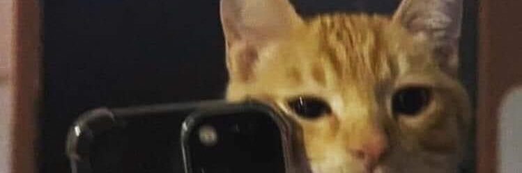 dxxxf_'s profile banner image