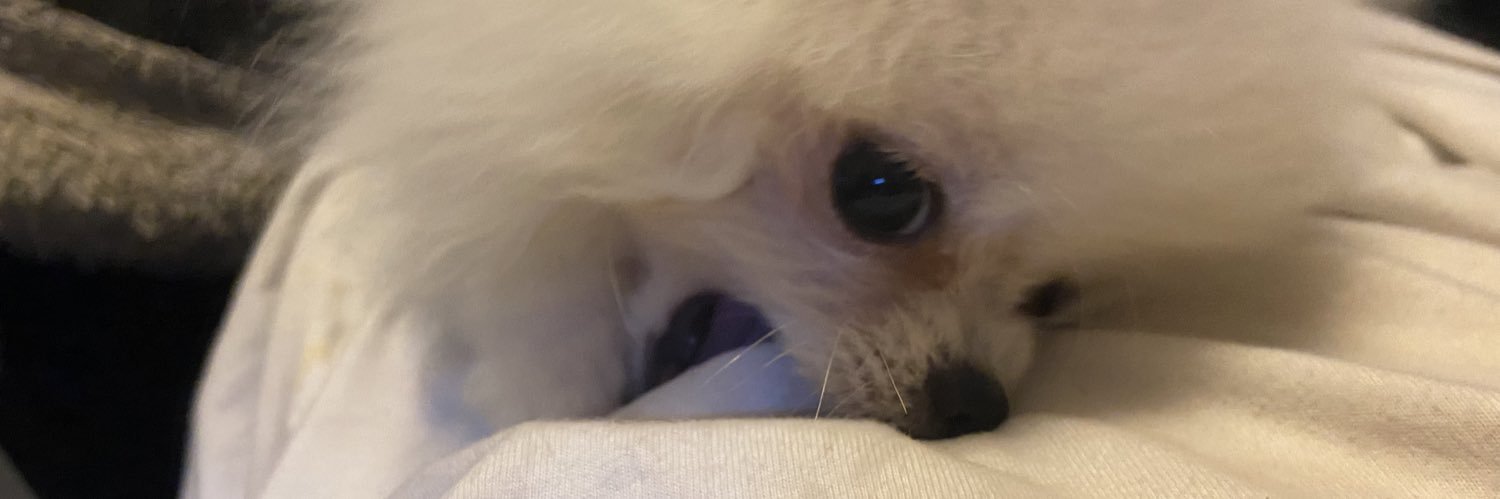 cha___17's profile banner image