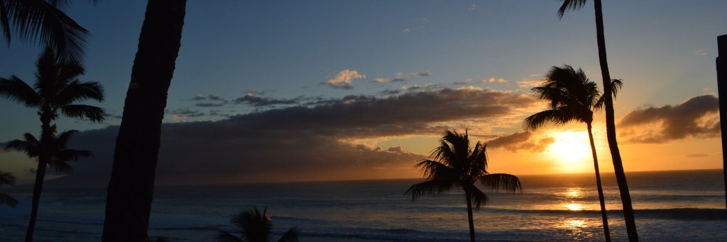 briancarr4's profile banner image
