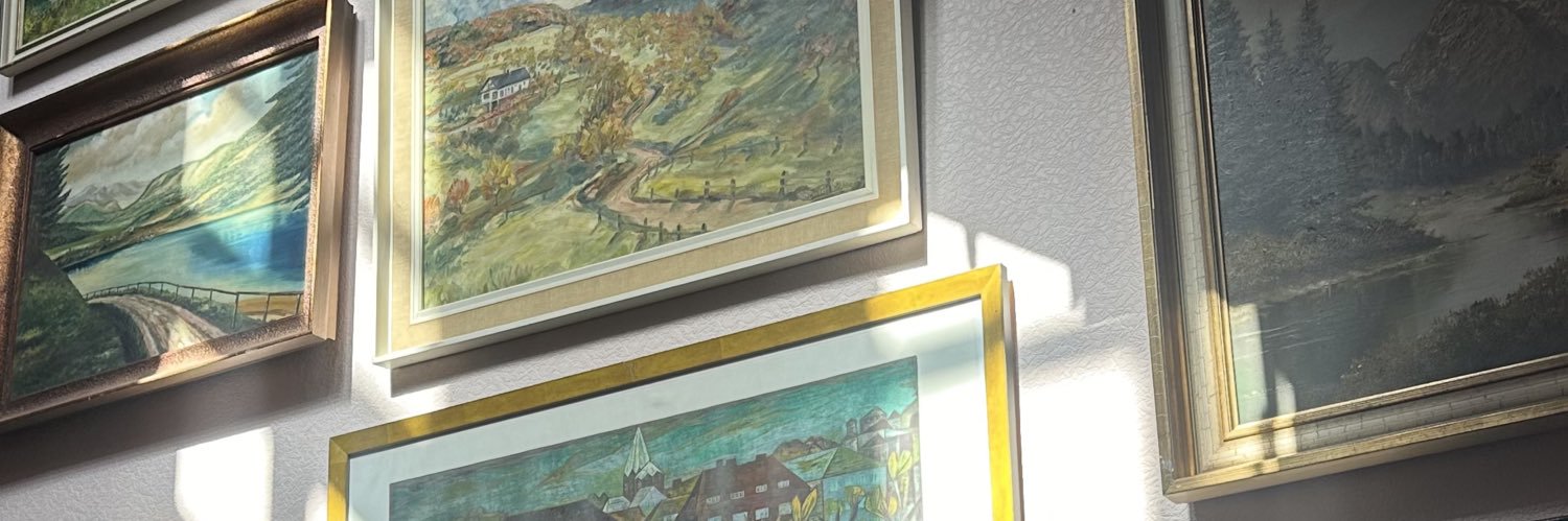 Zerennaydin's profile banner image