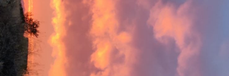 DarckQueen47's profile banner image