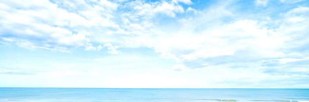 Andrew Francis banner