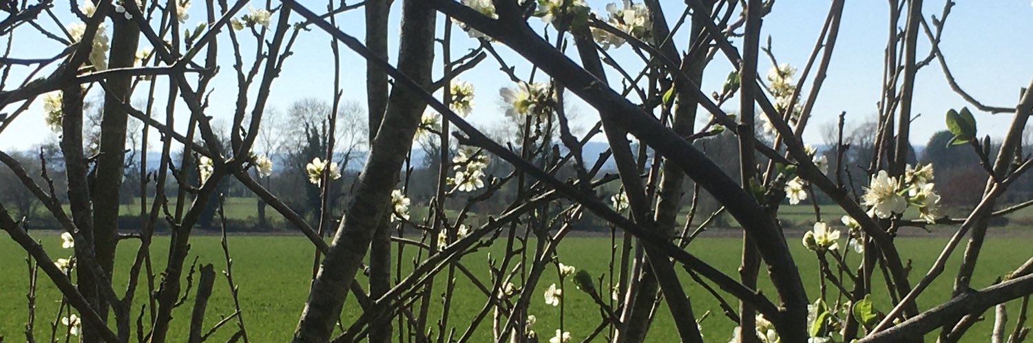 SusWal_Oxon's profile banner image