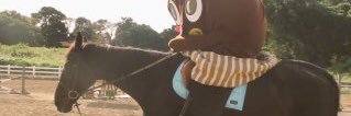 0817_rie's profile banner image