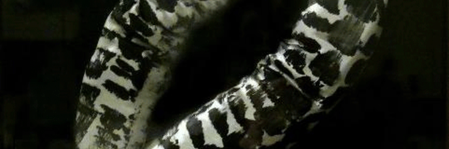 gatavalero's profile banner image