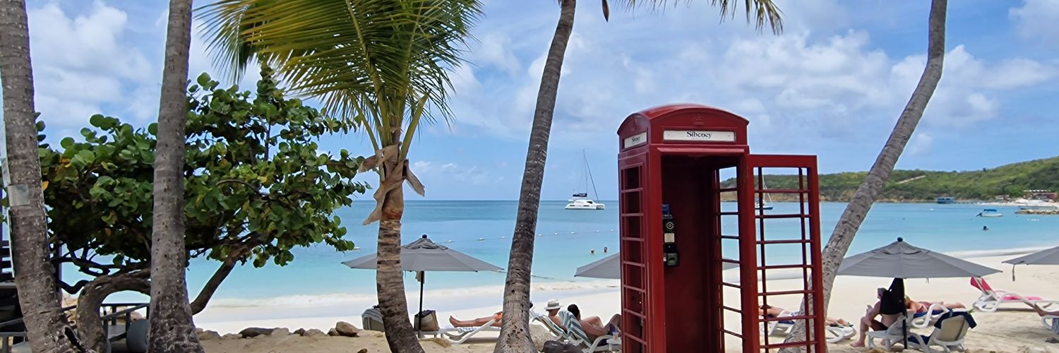 Jen Jen Louise banner