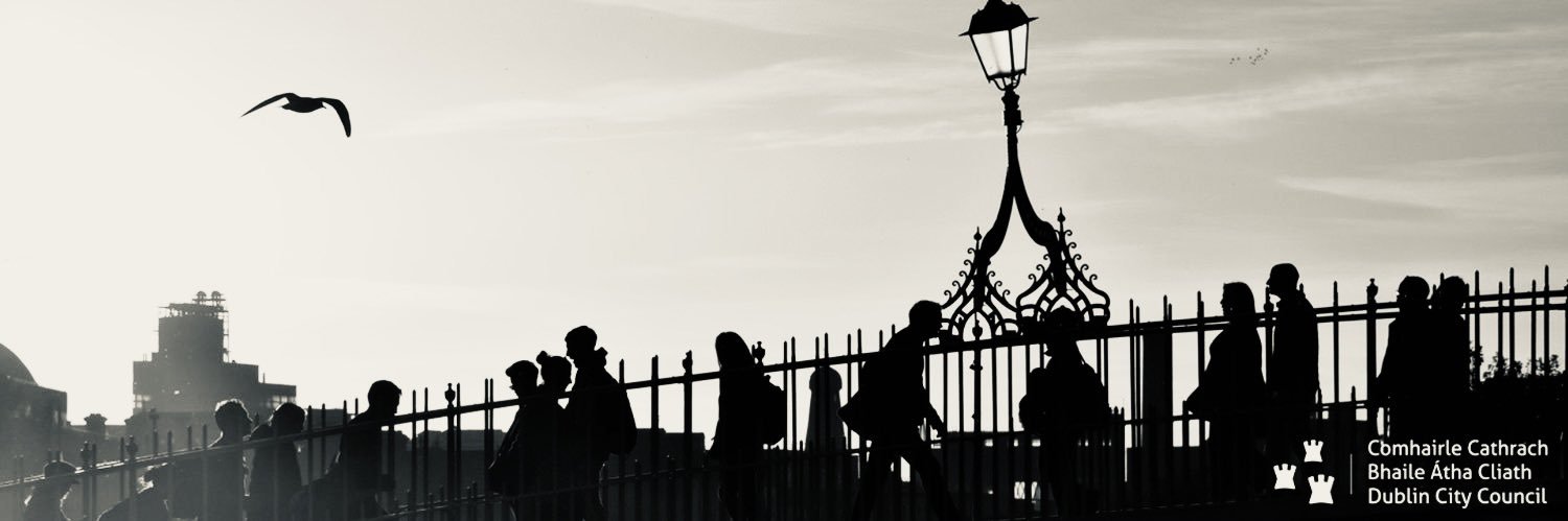 Dublin City Council BETA banner