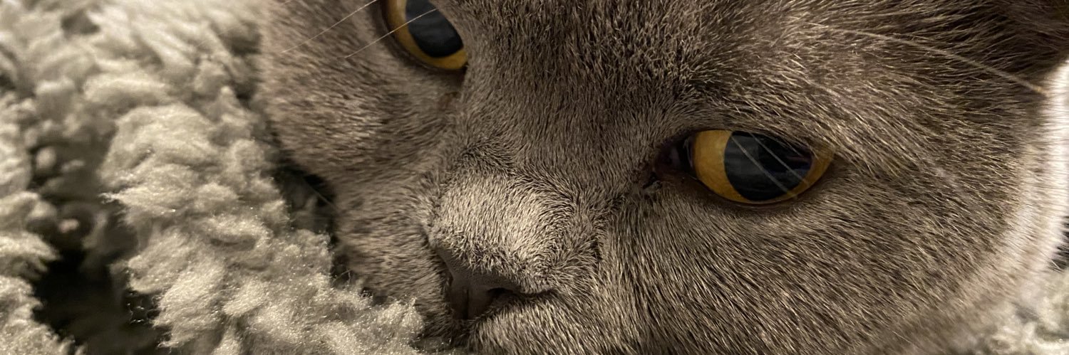 mapion_m's profile banner image