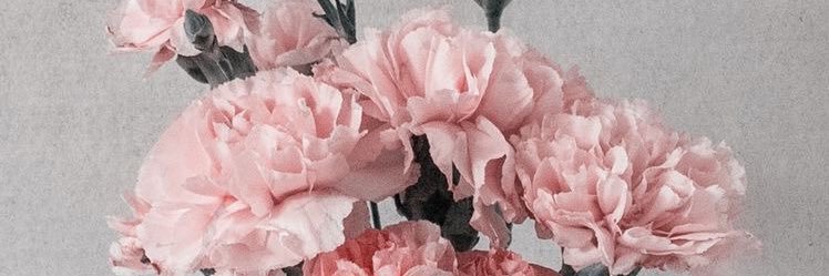 Nd_o_sh's profile banner image