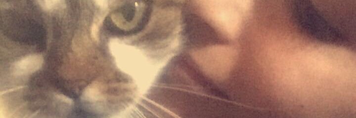 LPerdigawette's profile banner image