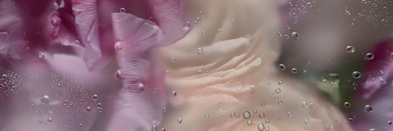 yyykmty's profile banner image