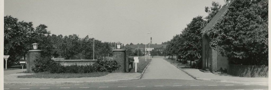 Tjaard de Vries tjaarddevries.bsky.social banner