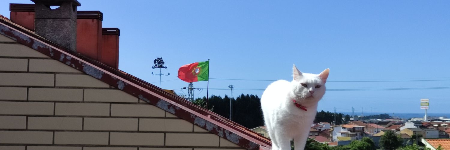 jserpapinto's profile banner image