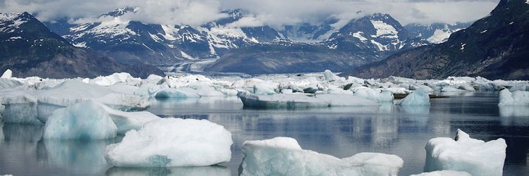 Marianne Lavelle banner