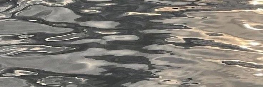 LaunicaSmg's profile banner image