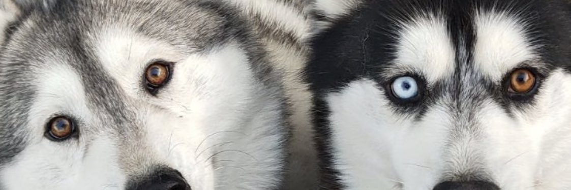 MrToner2U's profile banner image