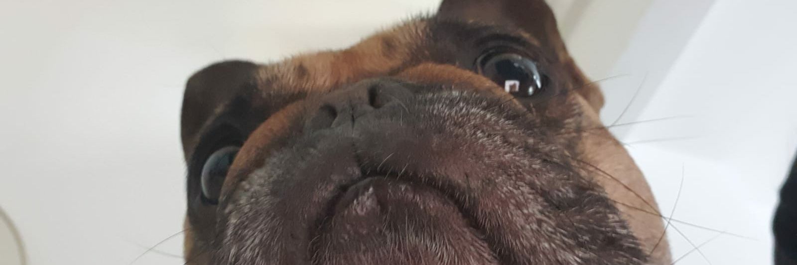 ttiagopazos's profile banner image