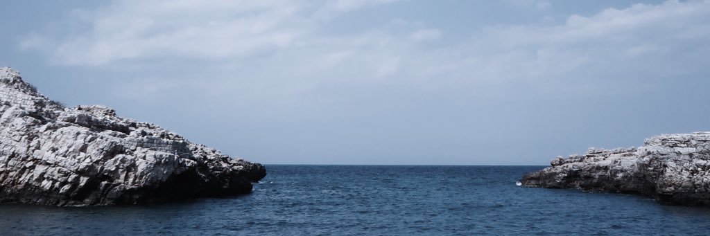 daneseee's profile banner image