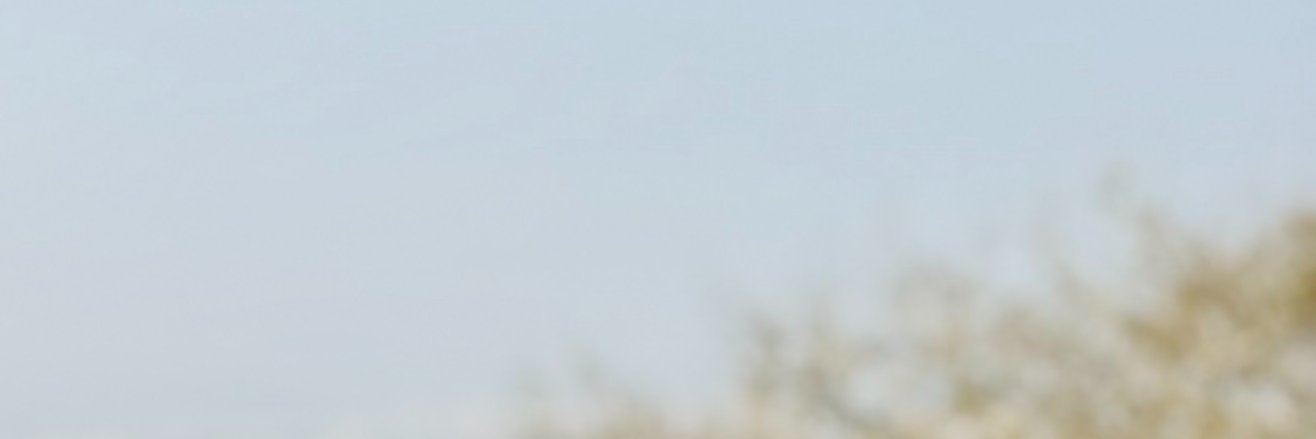 Marc Vanparla banner