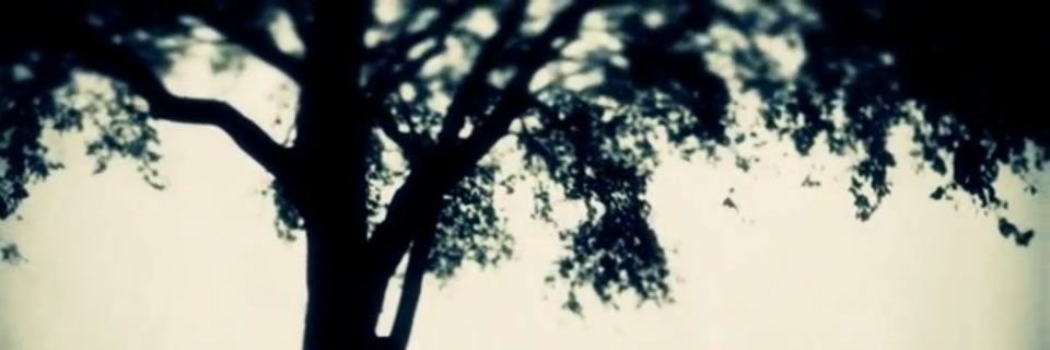 trilionit's profile banner image
