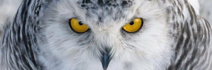 ErikaHadaz's profile banner image