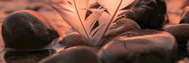 decooo83's profile banner image