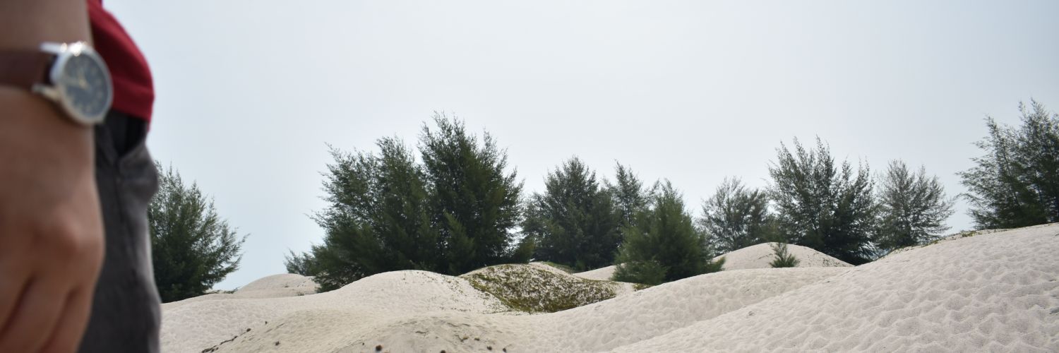 capungarmy's profile banner image