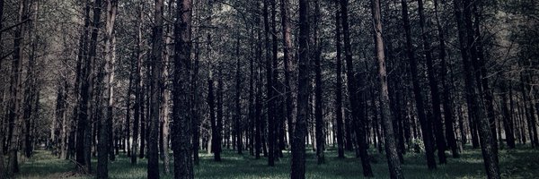 mithrandirSph Profile Banner
