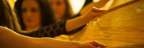 StephDiVerde's profile banner image