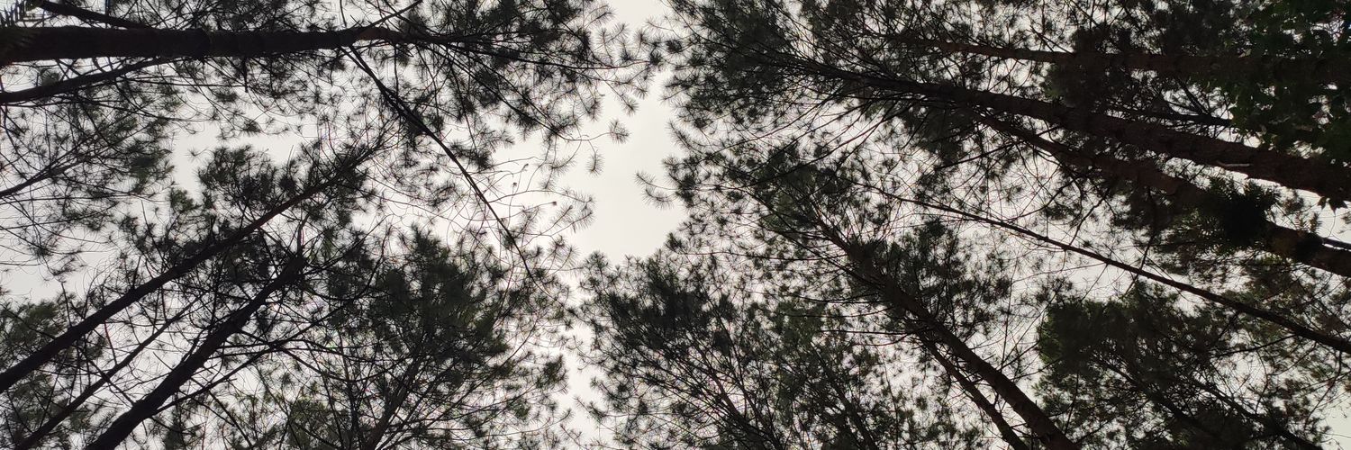 Okthree_110's profile banner image