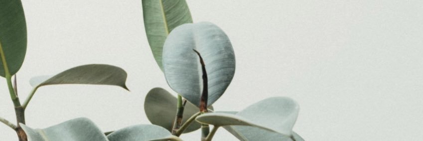 YingLao's profile banner image