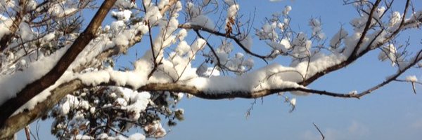 siabada2000 Profile Banner