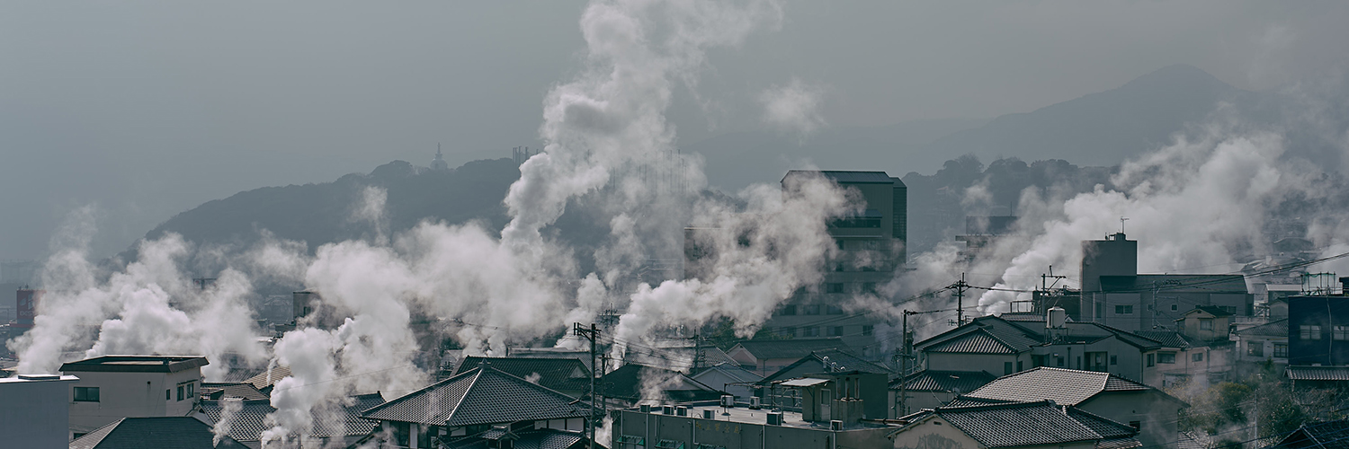 古庄伸吾 / 食の企画とデザイン banner